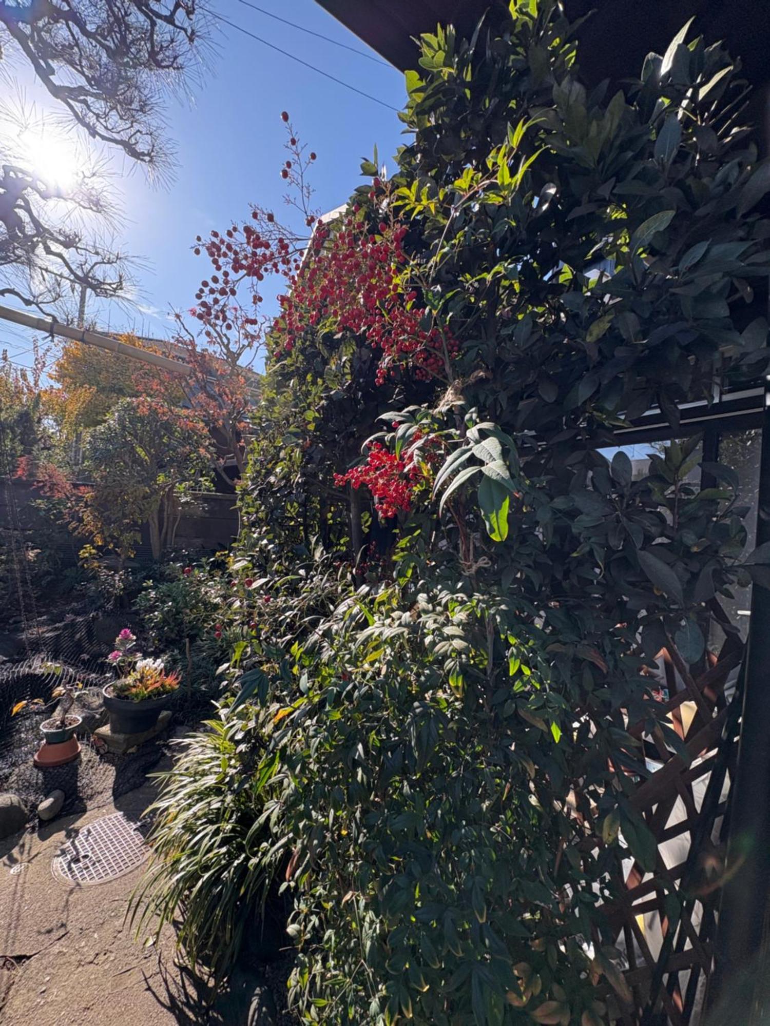 ホテル Kitazawa Cozy House 東京都 エクステリア 写真