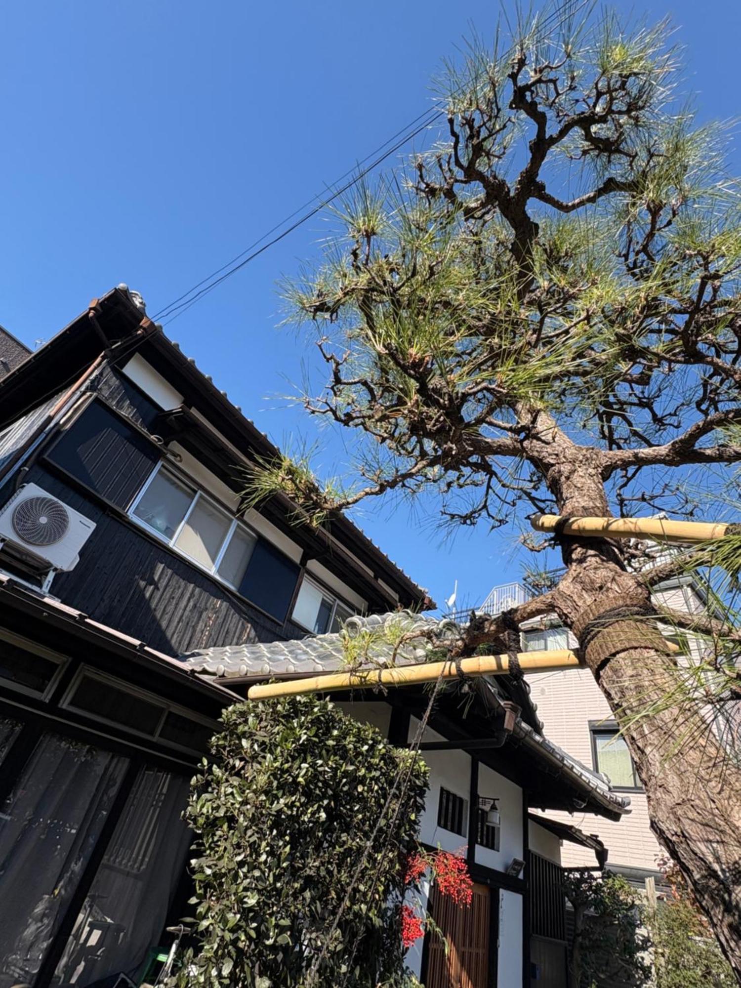 ホテル Kitazawa Cozy House 東京都 エクステリア 写真